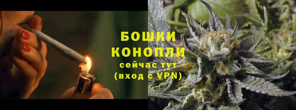 трава Корсаков
