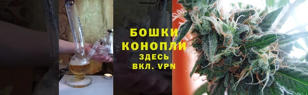трава Корсаков