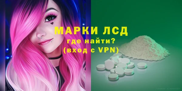 гашик Коряжма