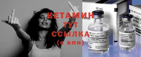 трава Корсаков