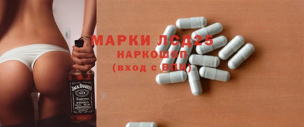 гашик Коряжма
