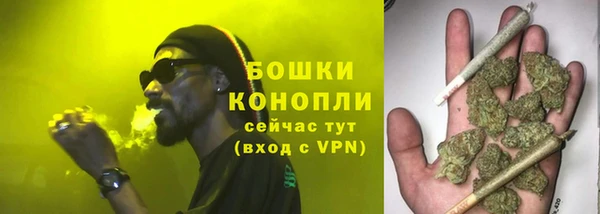 гашик Коряжма