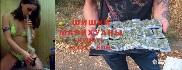 трава Корсаков