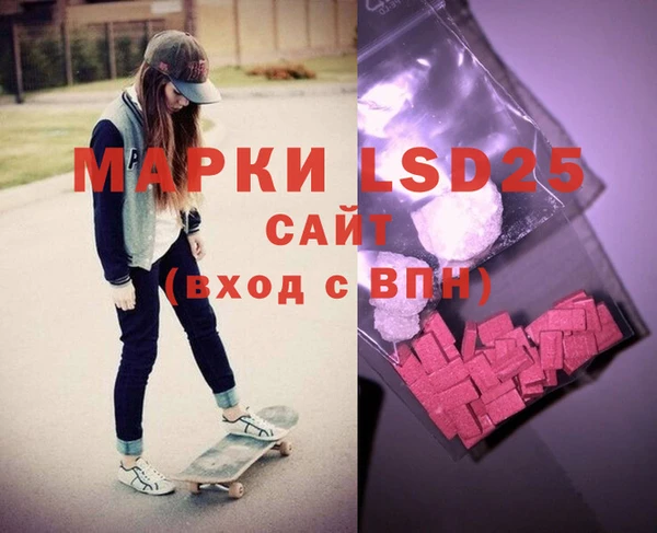 трава Корсаков