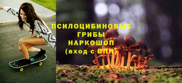 трава Корсаков