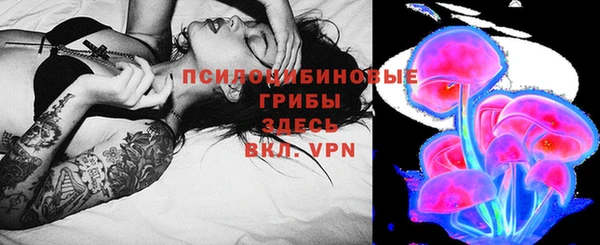 гашик Коряжма