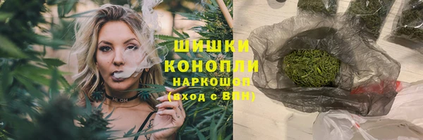 трава Корсаков