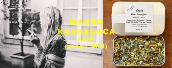 гашик Коряжма