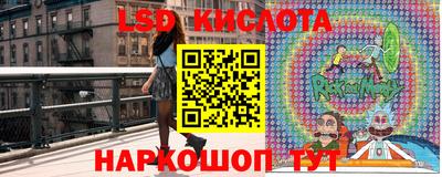 spice Тара