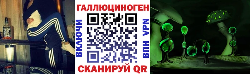 Псилоцибиновые грибы Cubensis  kraken   Свободный 