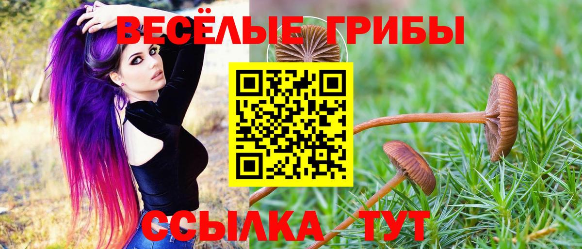 Псилоцибиновые грибы MAGIC MUSHROOMS Свободный
