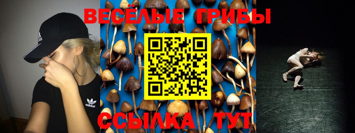 Галлюциногенные грибы Magic Shrooms  Вход с VPN  Свободный 